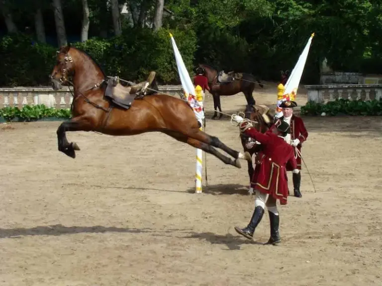 Alter Real Horse