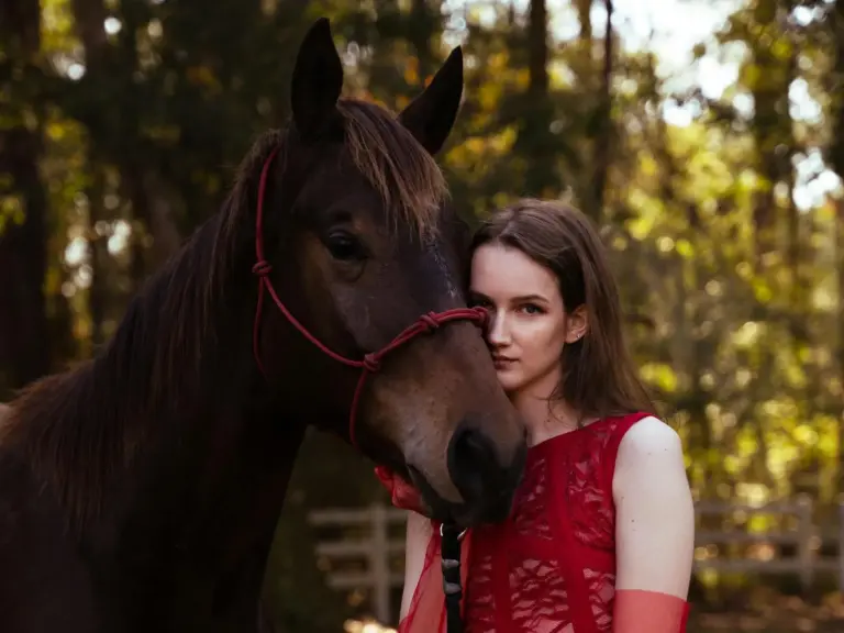 Florida Cracker Horse