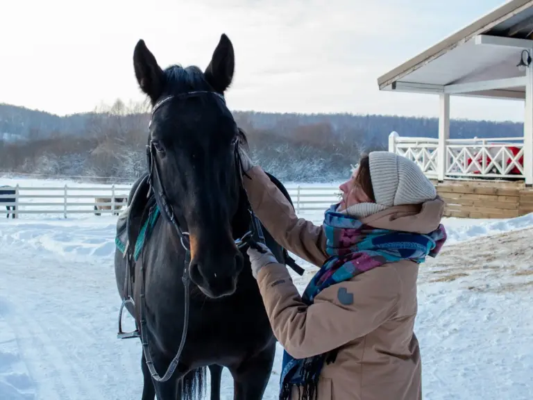 Kabarda Horse
