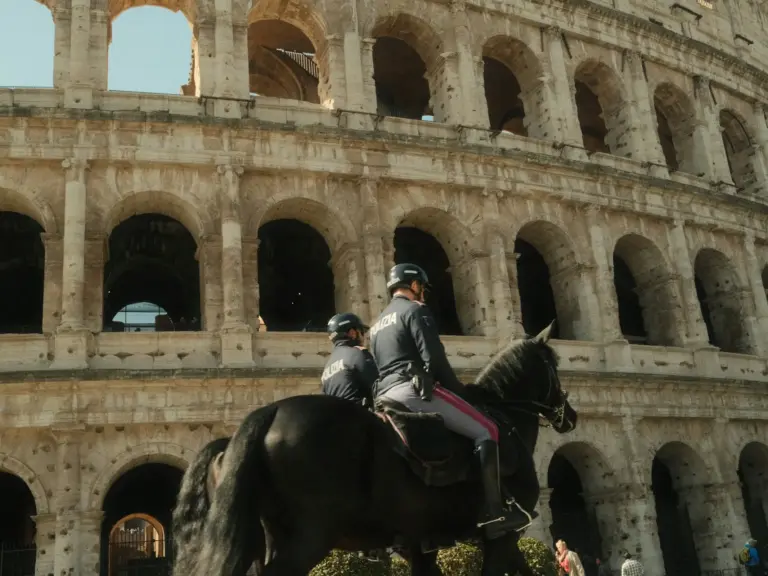 Maremmano Horse