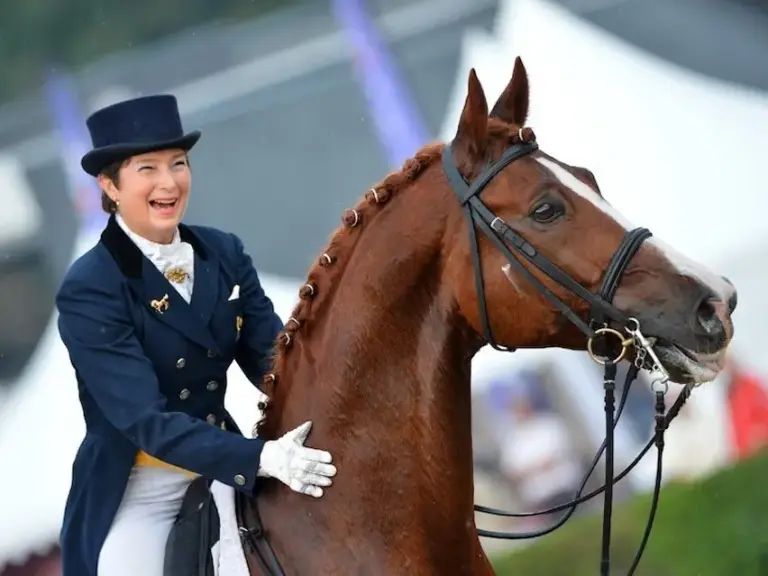 Sachsen Warmblood Horse