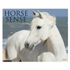 Horse Sense 2013 Calendar