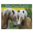 What Horses Teach Us 2013 Calendar