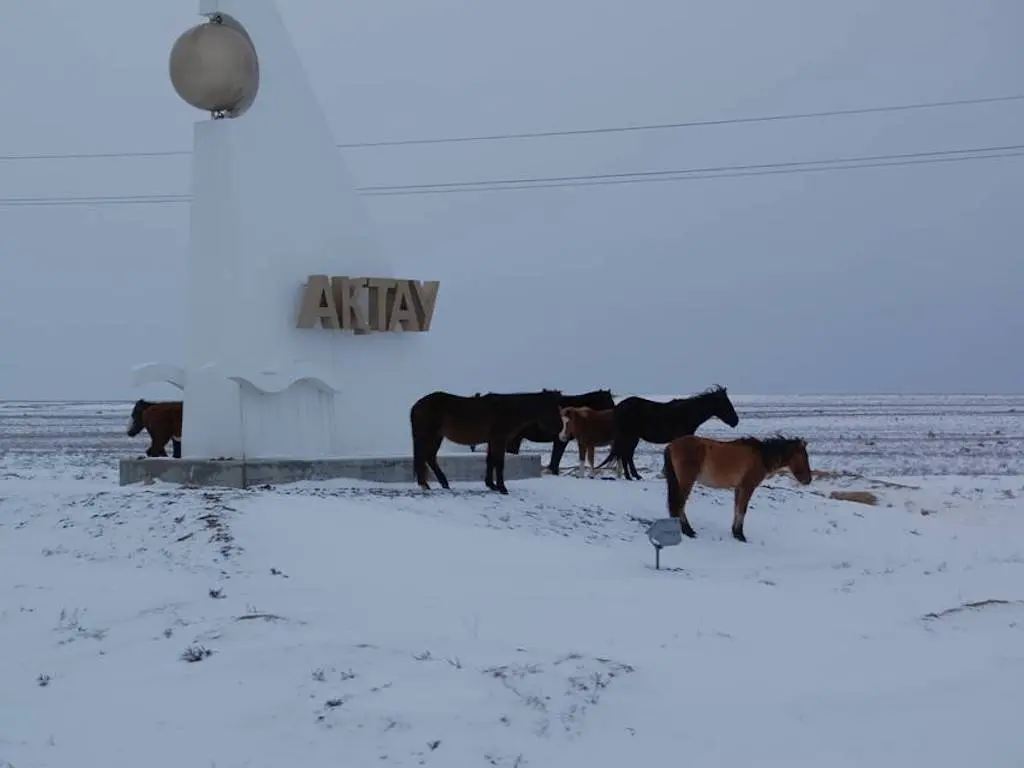 Adaev Horse