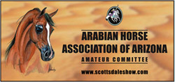 2010 Scottsdale Arabian Horse Show