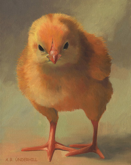 Grumpy Chick