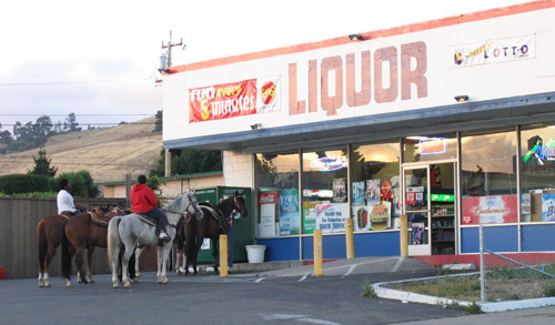 Horses parked outside a liquor store