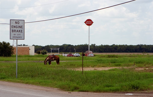 Horse grazing near a Dairy Queen in Texas