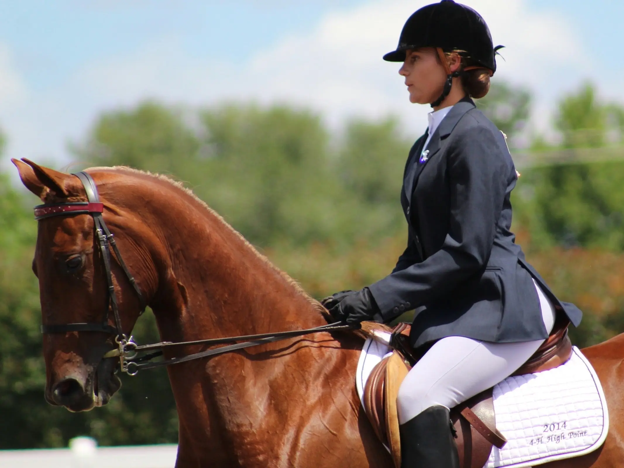 Woman in show dress riding a chestnut American Saddlebred horse
