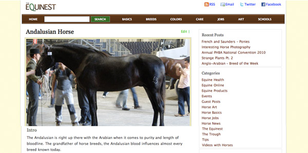 Andalusian Breed Page