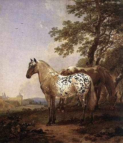 Two Horses in a Landscape - Berchem Nicholaes Pietersz