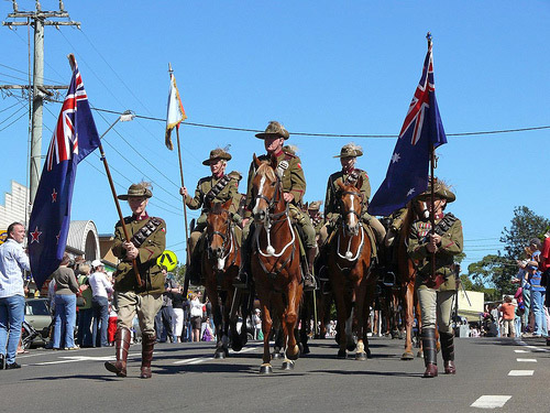 Horses on parade in Australia