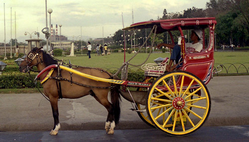 Baguio Light Horse