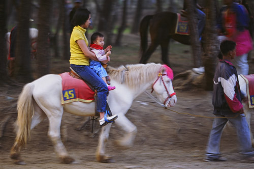 Baguio Pony