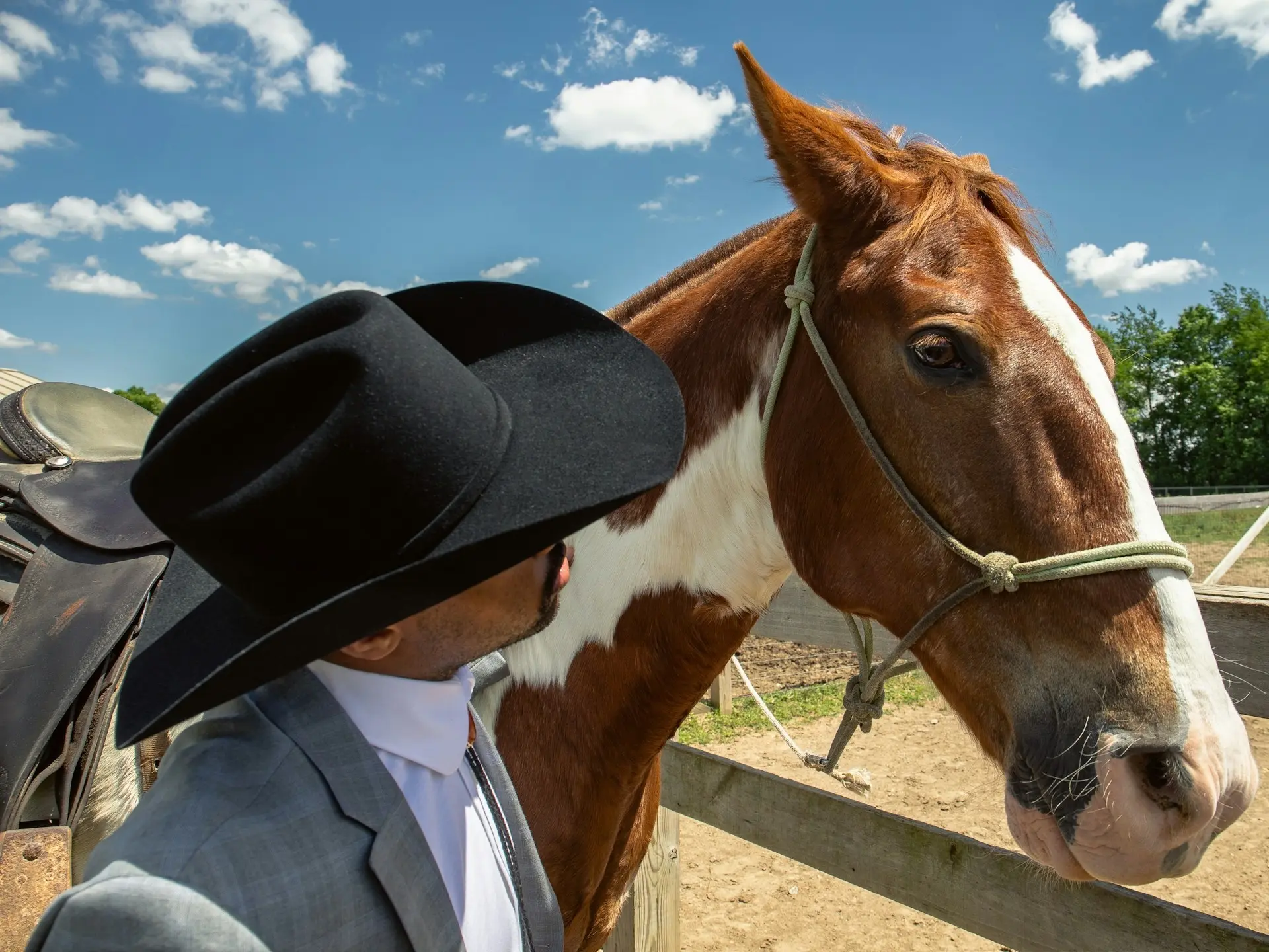 horse with barn manger