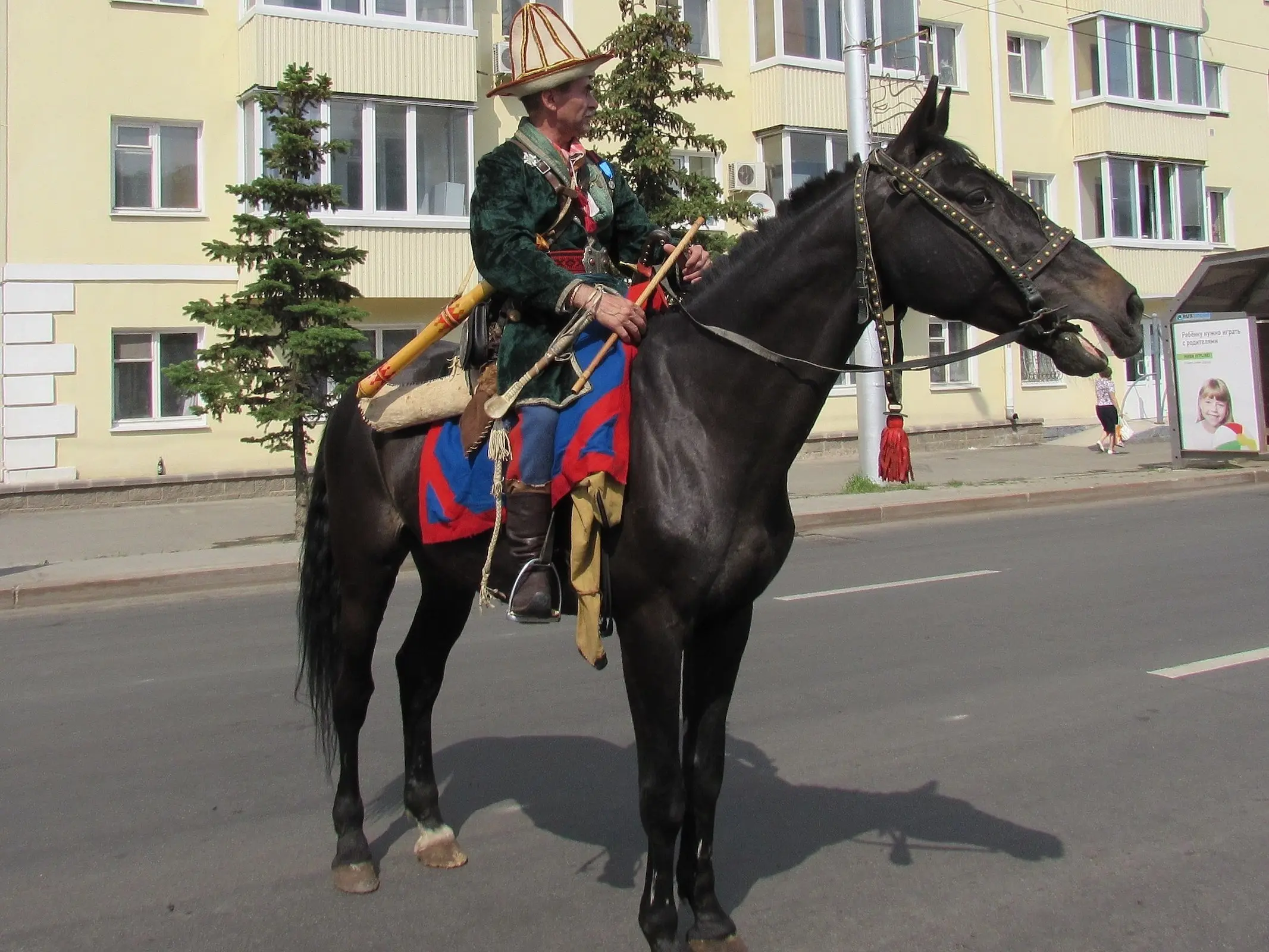 Bashkir Horse