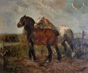 Brabant Draft Horses - Henry Schouten