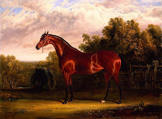 Negotiator, a Bay horse in a Landscape - John Frederick Herring, Sr.