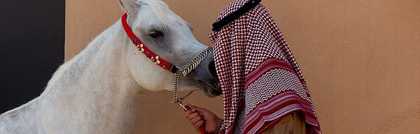 Bedouin Horse Legend