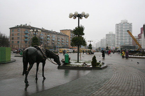 Horse in Belarus