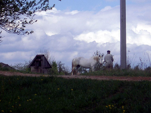 Horse and man in Belarus