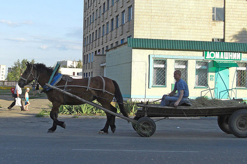 Horse and cart in Belarus