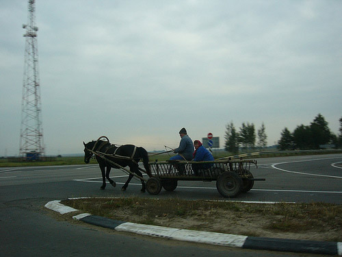 Horse and wagon in Belarus