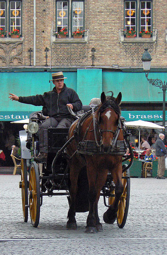 Horse Wagon Turning Right Horse in Belgium