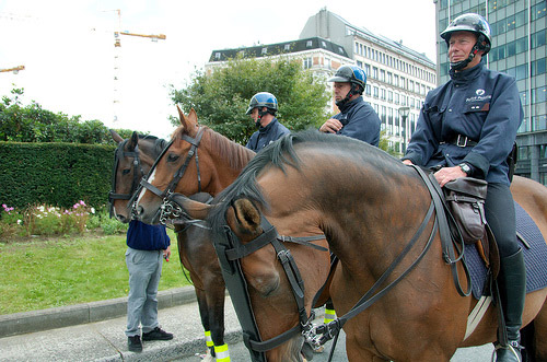 Policeman with horses, Schuman Square Horse in Belgium