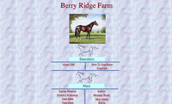 Berry Ridge Farm Berry Ridge Farm
