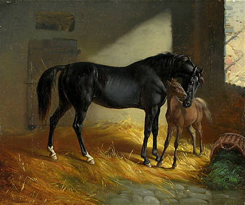 Horse and Foal in the Stables - Benno Adam