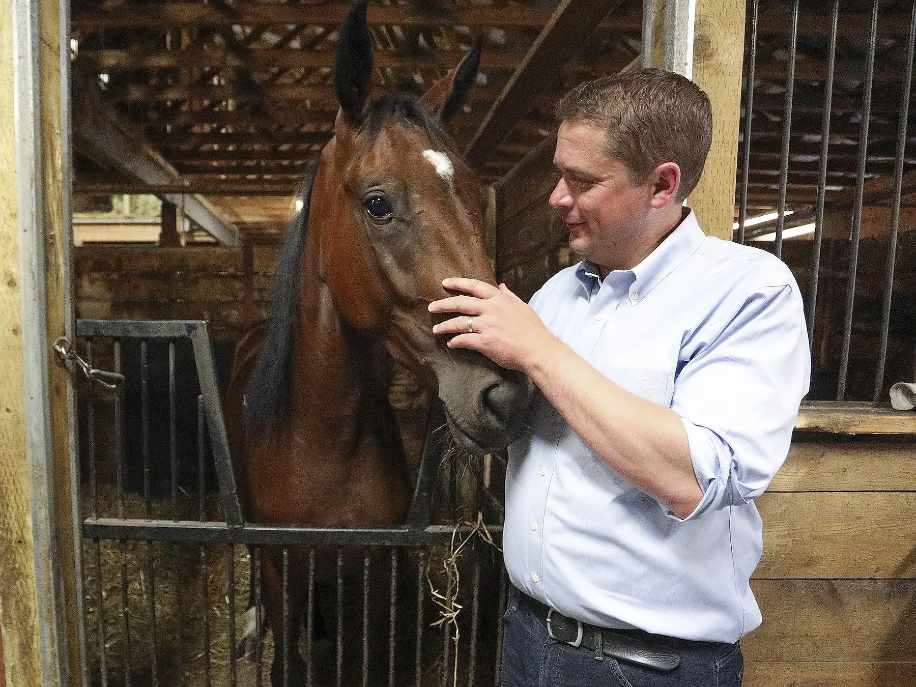 Bloodstock Agent with a horse