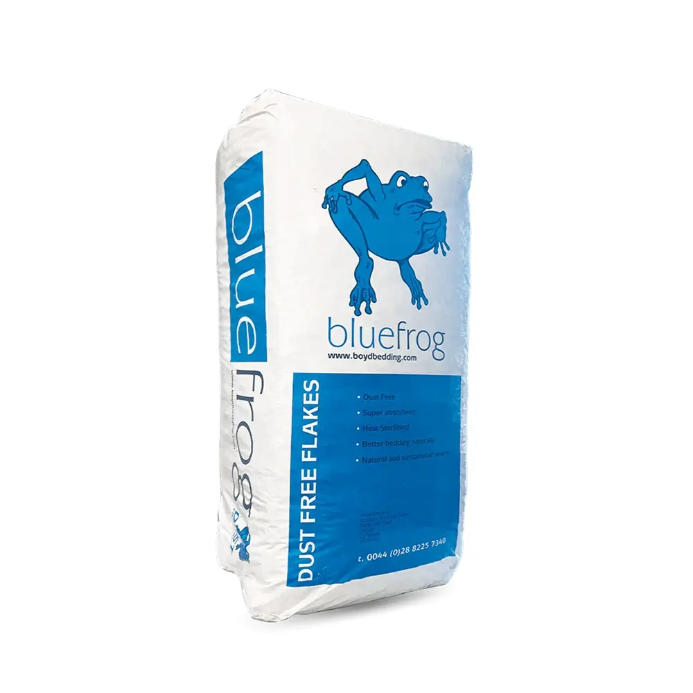 bluefrog