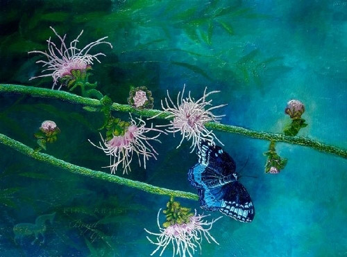 Diana Fritillary Butterfly