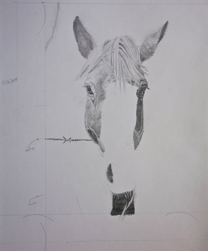 Graphite Horse Drawing