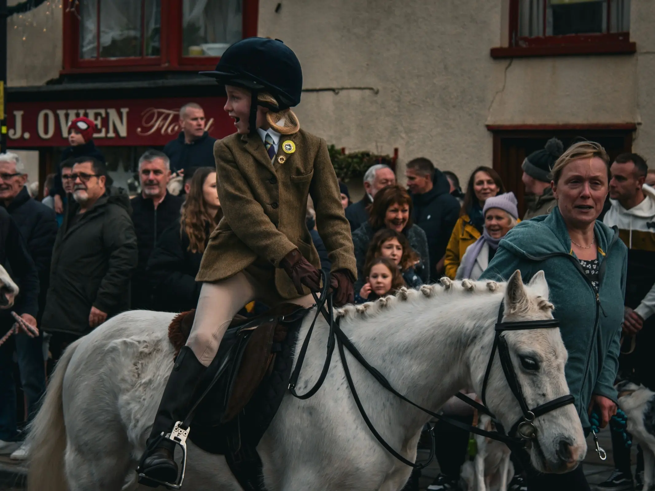 British Riding Pony
