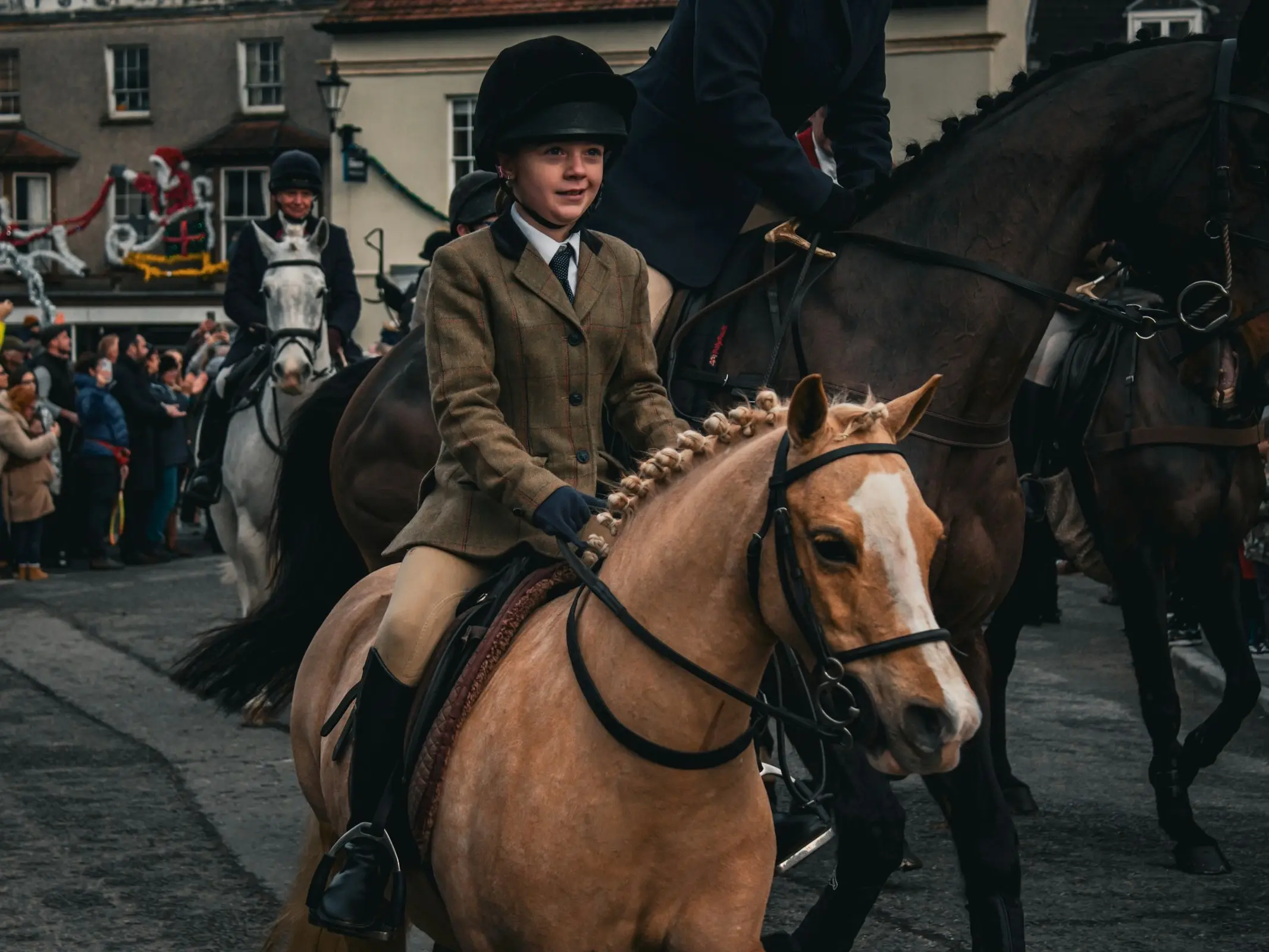 British Riding Pony