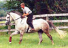 Cantering Horse