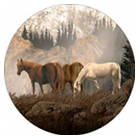 Horse Spare Tire Cover