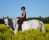 A child grooming a horse