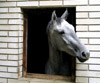 Horses in a stable