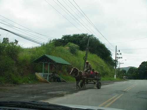 Horse and cart driving down a road