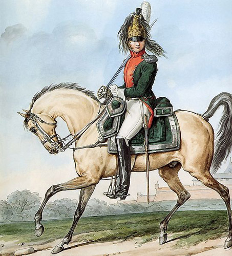 Grande Armée - 1st Regiment of Dragoons - Colonel