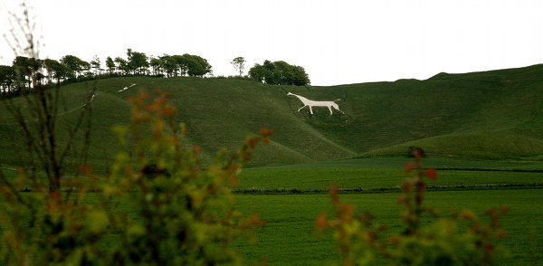 Cherhill White Horse