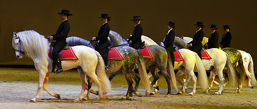 Cheval Passions Expo Cheval Passions Expo