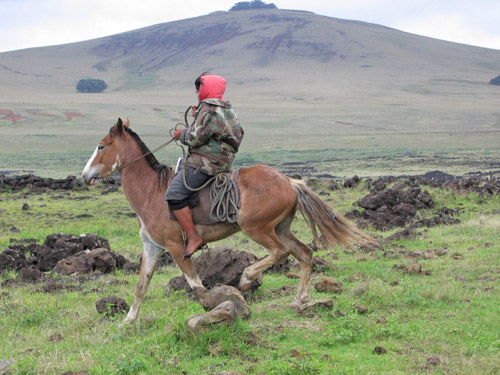 Easter Island Gaucho