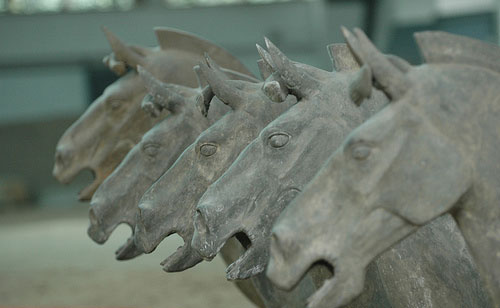 Chinese Horse Art Chinese Horse Art