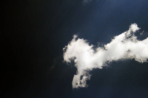 Horse Shaped Cloud