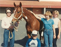 Horse after colic surgery