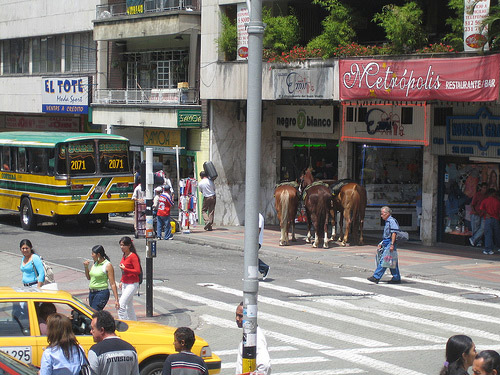 Horses in Colombia Horses in Colombia
